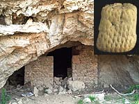 Queso de Armada