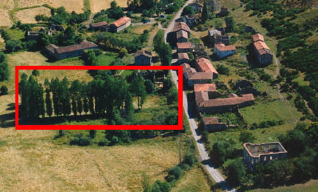 Plano