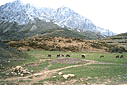 Valdelayosa, al sur de Camposolillo